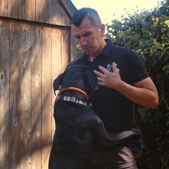 Wag Mates Academy - Pet Training Near Me Wag Mates Academy - Pet Training Near Me