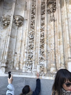 Catedral Vieja de Santa María de la Sede de Salamanca by null
