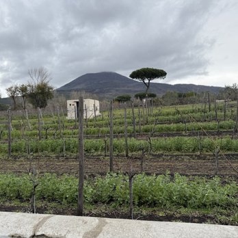 Cantina del Vesuvio Winery - Beer, Wine & Spirits Near Me - Trecase, NA Cantina del Vesuvio Winery - Beer, Wine & Spirits Near Me - Trecase, NA