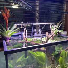 Here is my latest add ons to my new tank that is almost ready I would add multiple photos but I'm new to yelp and I don't think I can? Here is my latest add ons to my new tank that is almost ready I would add multiple photos but I'm new to yelp and I don't think I can?
