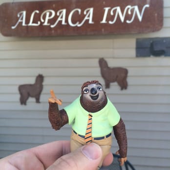 Alpaca Inn - Hanging out in lava Hot Springs! - Hotels Near Me - Lava Hot Springs, Idaho Alpaca Inn - Hanging out in lava Hot Springs! - Hotels Near Me - Lava Hot Springs, Idaho