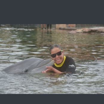 Discovery Cove - Amusement Parks Near Me - Orlando, Florida