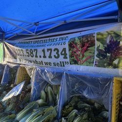 West Hollywood Helen Albert Certified Farmers Market - Organic produce