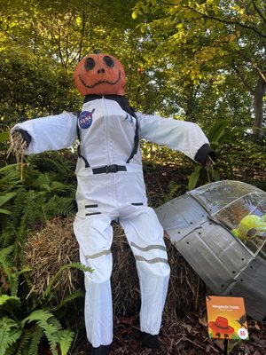 Atlanta Botanical Garden by null