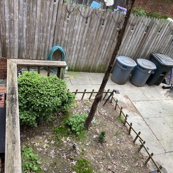 Ryan's Landscaping - After photo of my backyard - Landscaping Near Me - Springfield, Virginia Ryan's Landscaping - After photo of my backyard - Landscaping Near Me - Springfield, Virginia