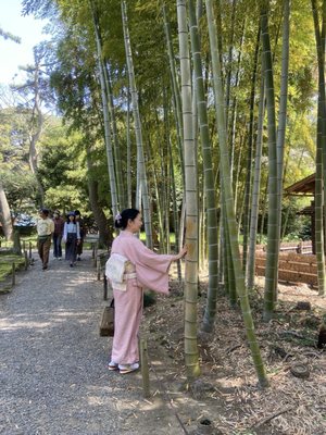 Sankeien Garden by null
