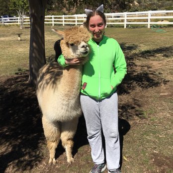 Canzelle Alpacas - Farms Near Me - Carpinteria, California Canzelle Alpacas - Farms Near Me - Carpinteria, California
