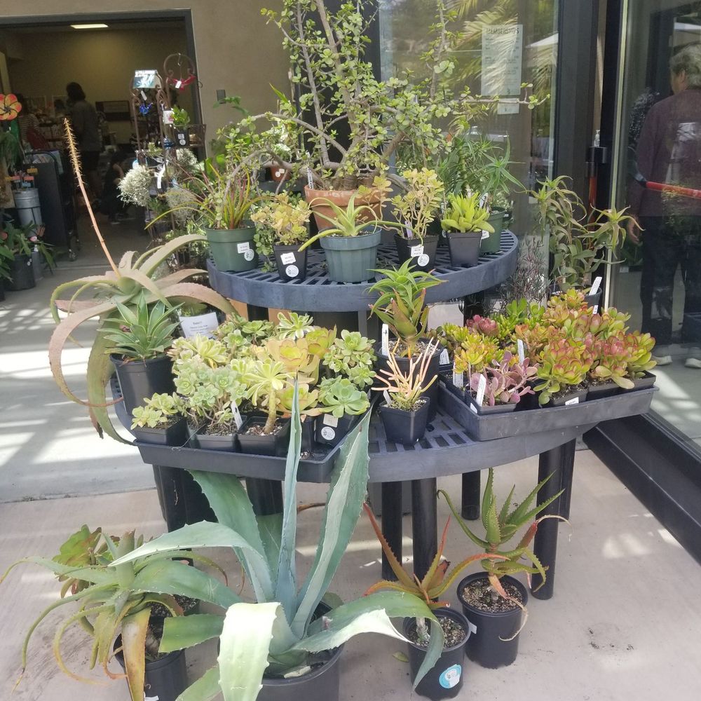 San Diego Botanic Garden - Botanical Gardens Near Me - Encinitas, California