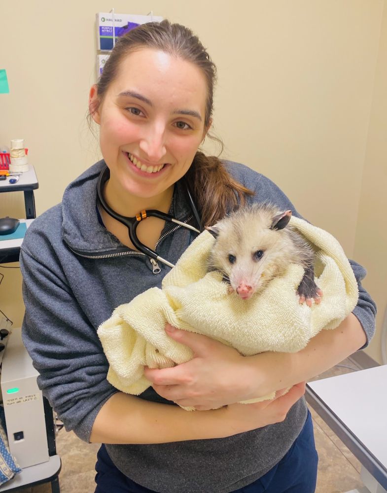 Westside Animal Clinic Image