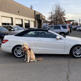 Our new convertible! Our new convertible!