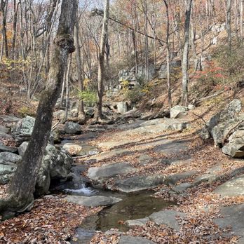 Glen Falls Trail - Hiking Near Me - Chattanooga, Tennessee