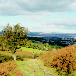 Llechwen Hall Hotel - A local pathway