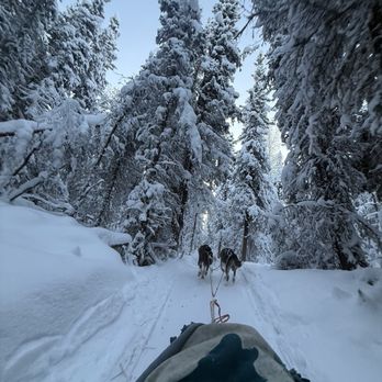 Alaska's Trail King Adventures - Tours Near Me - Salcha, Alaska Alaska's Trail King Adventures - Tours Near Me - Salcha, Alaska