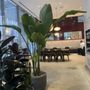 Convene Cafe