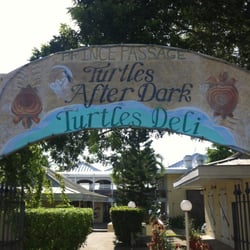 Turtles After Dark