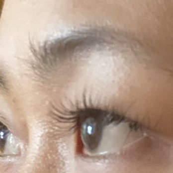 Moda Lash - Gorgeous 13mm c curl mink - Eyebrow Services Near Me - Brooklyn, New York