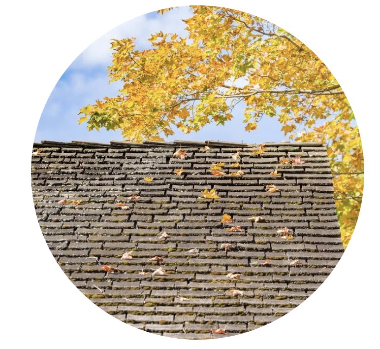 Slide of Rhino Roofing