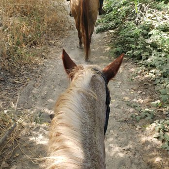 Western Trails Horseback Riding - Riding behind Leo. Wonderful time!! - Horseback Riding Near Me - Kalispell, Montana Western Trails Horseback Riding - Riding behind Leo. Wonderful time!! - Horseback Riding Near Me - Kalispell, Montana
