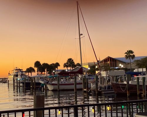 Marina Cantina by null