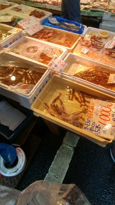 Tsukiji Outer Market by null