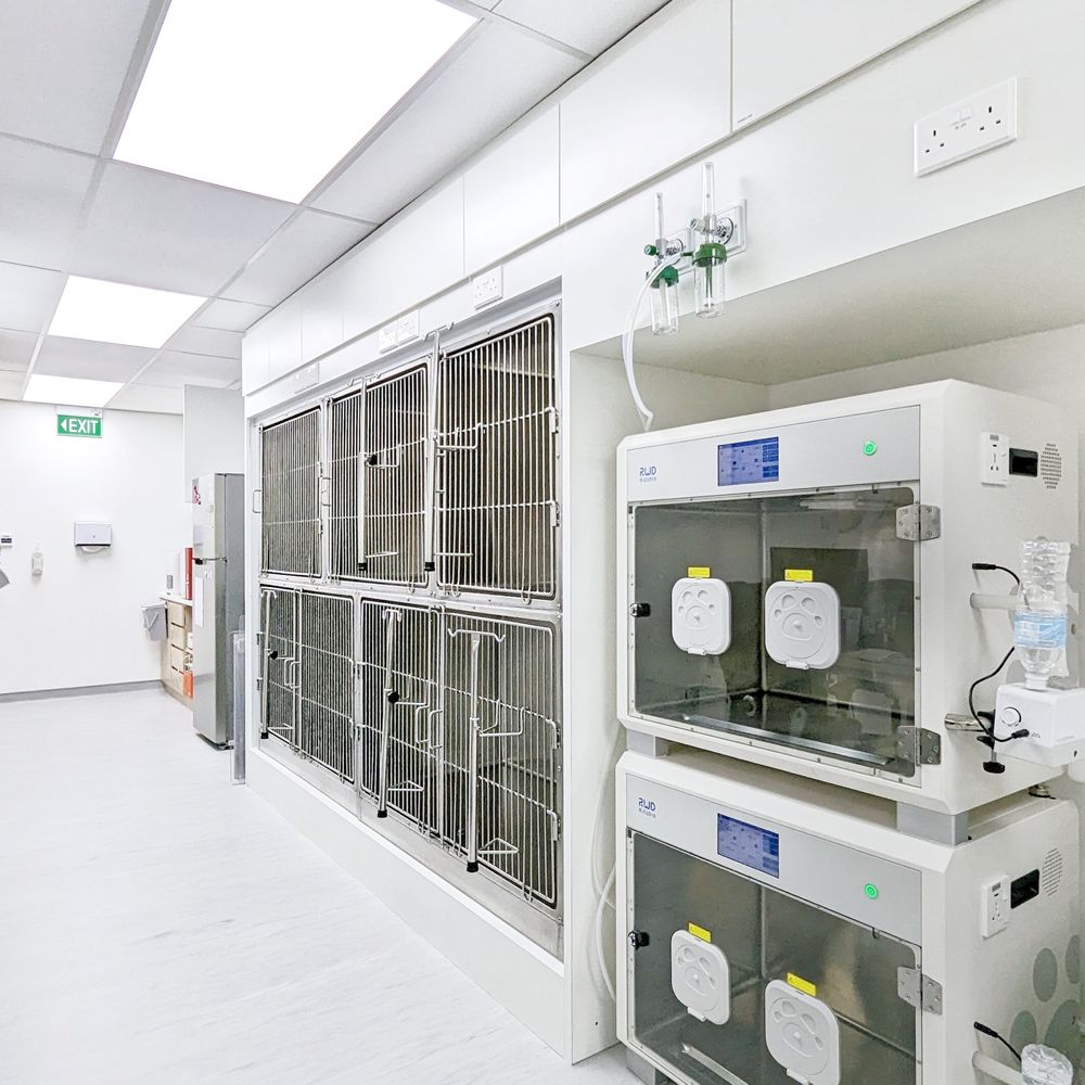 THE BEST 10 OSTEOPATHIC PHYSICIANS near YISHUN, SINGAPORE, SINGAPORE -  Updated 2026 - Hours - Yelp