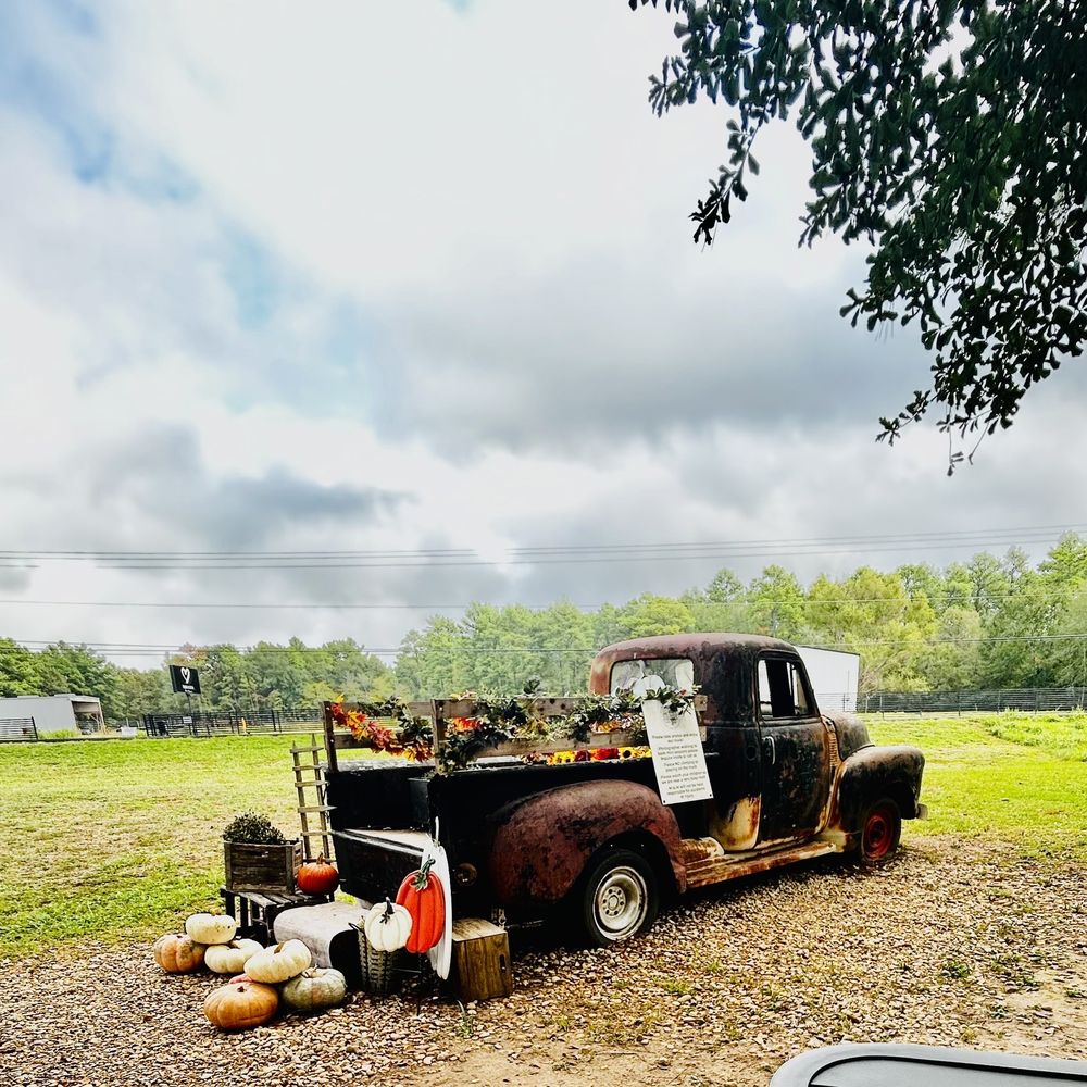 Wilderlove Coffee - Photo opp! - Coffee & Tea Near Me - Montgomery, Texas Wilderlove Coffee - Photo opp! - Coffee & Tea Near Me - Montgomery, Texas