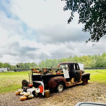 Wilderlove Coffee - Photo opp! - Coffee & Tea Near Me - Montgomery, Texas Wilderlove Coffee - Photo opp! - Coffee & Tea Near Me - Montgomery, Texas