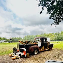 Wilderlove Coffee - Photo opp!