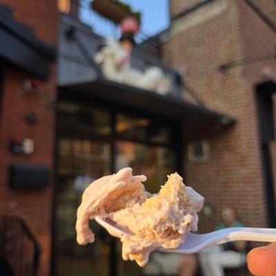 Lizzy's Ice Cream by null