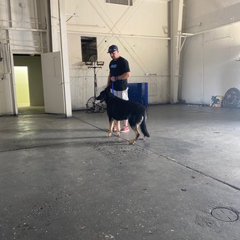Fidelis K9 Training - Pet Training Near Me - Orangevale, California