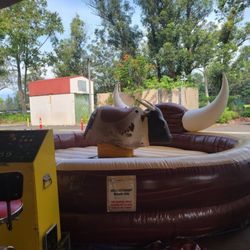Alaka'i Inflatables & Party Rentals - Mechanical bull