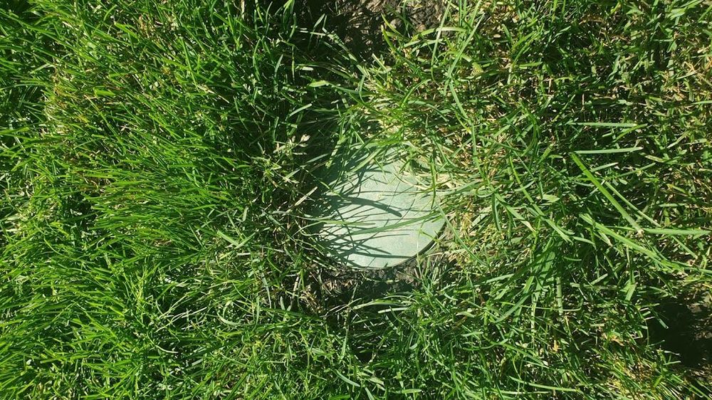 Golf Green Lawn Care - tree service in Pekin, IL