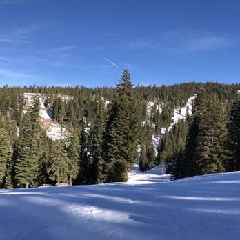 Dodge Ridge - Ski Resorts Near Me - Pinecrest, California Dodge Ridge - Ski Resorts Near Me - Pinecrest, California