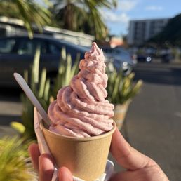 Vanilla Ice Cream