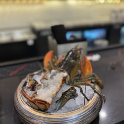 Shabu En - Raw lobsters