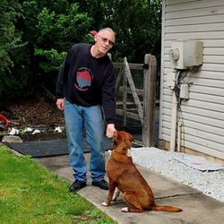 Proofing Behaviors Canine Obedience