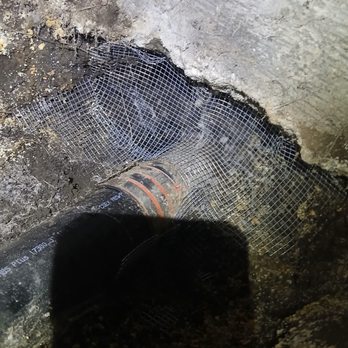 Attic Pros - Pest Control Near Me - Oakland, California Attic Pros - Pest Control Near Me - Oakland, California