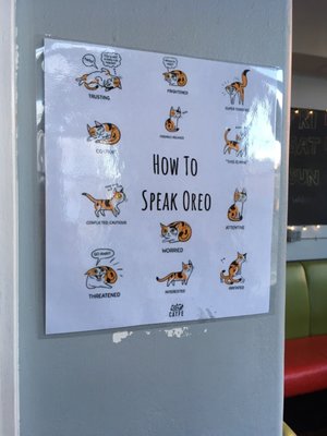 The Cambie Hostel - Gastown by null