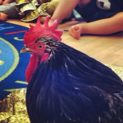 Gymco - Special visitor from John Ball Zoo.