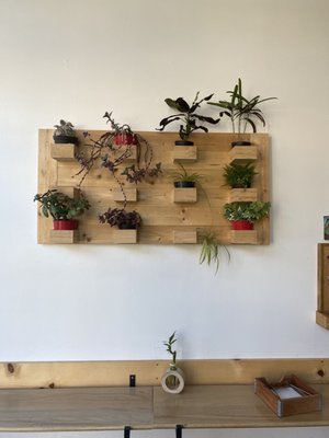 The Empanada's Box Covington by null