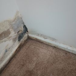 Stoner Creek Apartments - Storage room mold