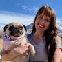 Photo of Dog Training Elite