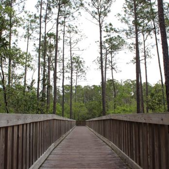 Tibet-Butler Preserve - Wooden bridge - Parks Near Me - Orlando, Florida Tibet-Butler Preserve - Wooden bridge - Parks Near Me - Orlando, Florida
