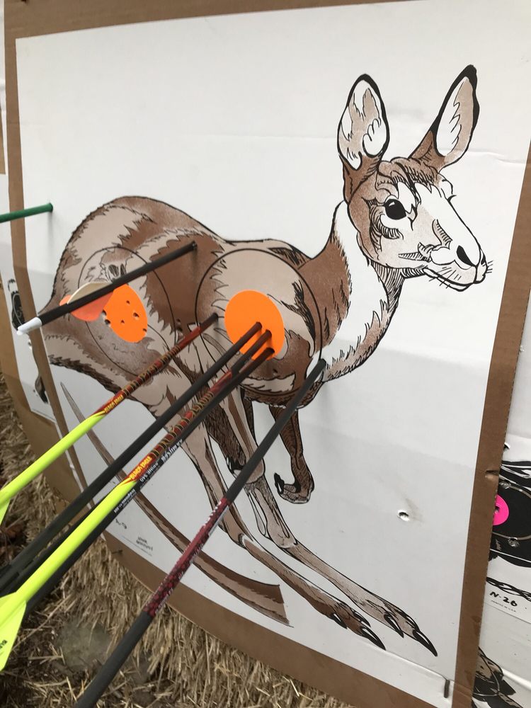 SILVER ARROW BOWMEN Updated September 2024 18 Photos 20409 E