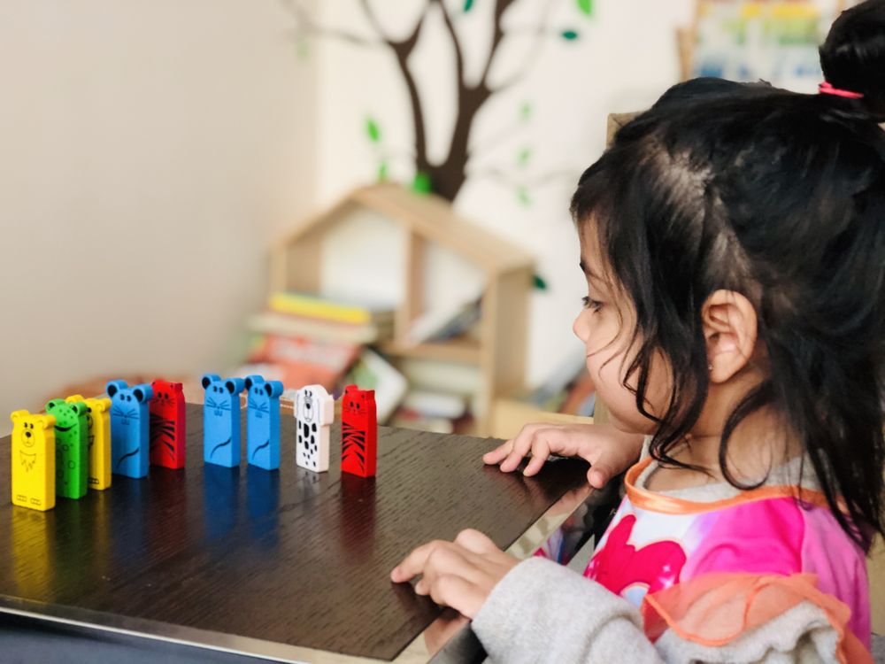 Holistic Seedlings - childcare center in San Francisco, CA