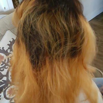 Kang's Beauty Salon - This is her idea of a balayage. Never again will I go back or recommend anyone to her. - Hair Salons Near Me - Phillips Ranch, California Kang's Beauty Salon - This is her idea of a balayage. Never again will I go back or recommend anyone to her. - Hair Salons Near Me - Phillips Ranch, California