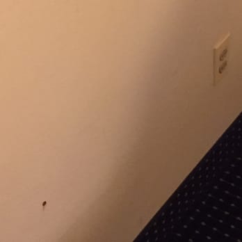 Quality Inn - Hotels Near Me - East Windsor, New Jersey