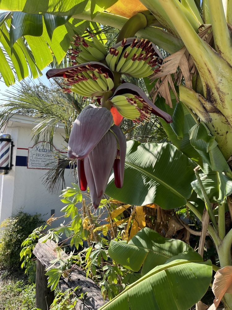 Kutters Waldo Rd Logo