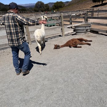 Carmel Valley Ranch - This is Sal! THE BEST! - Hotels Near Me - Carmel, California