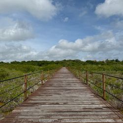 Bacalar Swim Club